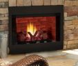 Majestic Fireplace Best Of A Gas Fireplace Tags Majestic Direct Vent Fireplaces the