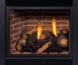 Majestic Fireplace Insert New Majestic Gas Fireplace Pilot Light Instructions Fireplace