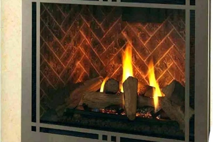 Majestic Fireplace Repair Unique Majestic Gas Fireplace Pilot Light Instructions Fireplace