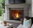 Majestic Gas Fireplace Insert Inspirational Majestic Odcoug 42 Courtyard 42" Outdoor Traditional Gas Fireplace