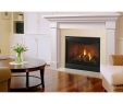 Majestic Wood Burning Fireplace Awesome Meridian Platinum Series 36 Fireplace