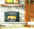 Mantel for Fireplace Insert Elegant Modern Wood Burning Fireplace Inserts Fireplaces