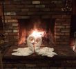 Marco Gas Fireplace Inspirational Rustic Romantic 2 Lovely Swans Picture Of Arrowhead Pine