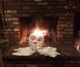 Marco Gas Fireplace Inspirational Rustic Romantic 2 Lovely Swans Picture Of Arrowhead Pine