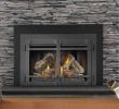 Masonry Fireplace Doors Awesome the Guide Choose the Right Fireplace Door