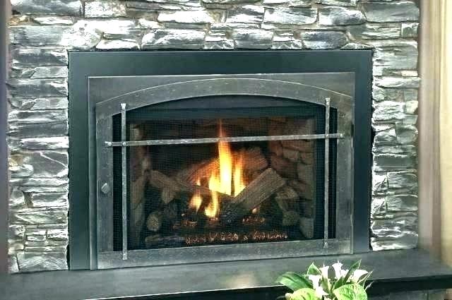 Metal Fireplace Insert Elegant Buck Fireplace Insert – Petgeek