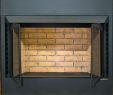 Metal Fireplace Insert Fresh Buck Fireplace Insert – Petgeek