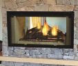 Mobile Home Wood Burning Fireplace Awesome Majestic Wood Fireplace See Thru 36 Inch