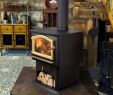 Mobile Home Wood Burning Fireplace Lovely Wood Burning Fireplaces Mobile Homes Charming Fireplace