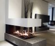 Modern Fireplace Decor Awesome Bellfires Room Divider Large Nice Designs