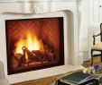 Modern Fireplace Insert Luxury Fireplace Inserts Majestic Fireplace Inserts