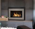 Modern Linear Gas Fireplace Best Of Modern Gas Fireplace Inserts My Sanctuary