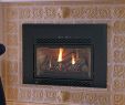 Montigo Fireplace Beautiful Fireplace Inserts Majestic Fireplace Inserts