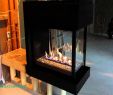 Montigo Fireplace Best Of Lovely 3 Sided Fireplace Best Home Improvement