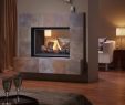 Montigo Gas Fireplace Best Of Montigo P52df Direct Vent Gas Fireplace – Inseason