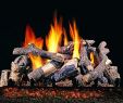 Most Realistic Gas Fireplace Elegant Amazon "r H Peterson Chdsg4 30 30"" Charred Oak