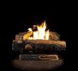 Most Realistic Gas Logs for Fireplace Luxury Oakwood 22 75 In Vent Free Propane Gas Fireplace Logs with thermostatic Control