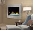 Napoleon Direct Vent Fireplace Awesome the Fyre Place & Patio Shop Owen sound Tario