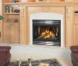 Napoleon Direct Vent Fireplace Awesome the Fyre Place & Patio Shop Owen sound Tario