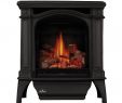 Napoleon Direct Vent Fireplace Beautiful Napoleon Bayfield Gds25 Electronic Ignition Direct Vent Cast