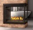 Napoleon Direct Vent Fireplace Best Of Gas Fireplace Napoleon High Definition