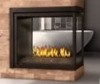 Napoleon Direct Vent Fireplace Best Of Gas Fireplace Napoleon High Definition