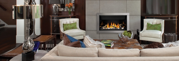 Napoleon Ascent Linear Series 46 Direct Vent Natural Gas Fireplace Electronic Ignition napoleon ascent linear series 46 direct vent natural gas fireplace electronic ignition 8