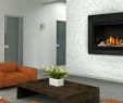 Napoleon Direct Vent Fireplace Fresh Gas Fireplace Electronic Ignition – Dachschragefo