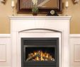 Napoleon Direct Vent Fireplace Lovely the Fyre Place & Patio Shop Owen sound Tario