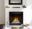 Napoleon Direct Vent Fireplace New Napoleon Vector 74 Linear Direct Vent Gas Fireplace