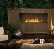 Napoleon Direct Vent Fireplace Unique Outdoor Linear Fireplace Fireplace Design Ideas