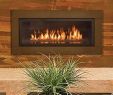 Napoleon Fireplace Dealers Fresh 40 Best town and Country Fireplaces Images