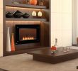 Napoleon Fireplace Dealers Inspirational Fireplace Inserts Napoleon Electric Fireplace Inserts