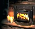 Napoleon Fireplace Inserts Fresh Fireplace Insert Blowers – Highclassebook