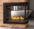 Napoleon Fireplace Inspirational Gas Fireplace Napoleon High Definition