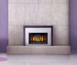 Napoleon Gas Fireplace Insert Awesome the Fyre Place & Patio Shop Owen sound Tario