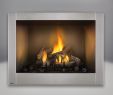 Napoleon Gas Fireplace Insert Fresh Napoleon Riverside 42 Clean Face Outdoor Gas Fireplace