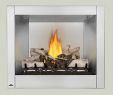 Napoleon Gas Fireplace Insert Lovely Napoleon Riverside 36 Clean Face Outdoor Gas Fireplace