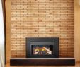 Napoleon Gas Fireplace Insert Lovely the Fyre Place & Patio Shop Owen sound Tario