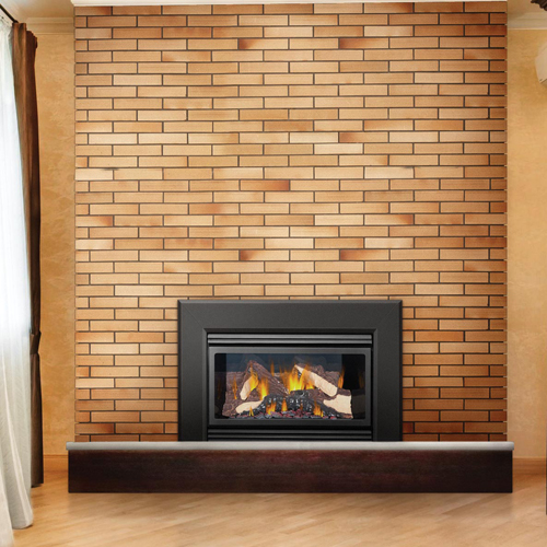 The Fyre Place & Patio Shop Owen Sound tario 187 napoleon gi3600