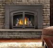 Napoleon Gas Fireplace Inserts Beautiful the Fyre Place & Patio Shop Owen sound Tario