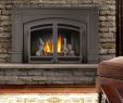 Napoleon Gas Fireplace Inserts Beautiful the Fyre Place & Patio Shop Owen sound Tario