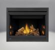 Napoleon Gas Fireplace Inserts Fresh 42 Inch Ventless Gas Fireplace Insert Fireplace Design Ideas