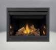 Napoleon Gas Fireplace Inserts Fresh 42 Inch Ventless Gas Fireplace Insert Fireplace Design Ideas