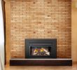 Napoleon Gas Fireplace Inserts Inspirational the Fyre Place & Patio Shop Owen sound Tario