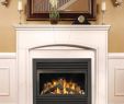 Napoleon Gas Fireplace Inspirational Gd33 Gas Fireplace Vendor Image Fireplaces