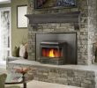 Napoleon Wood Burning Fireplace Fresh Pellet Stove Insert Homes