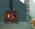 Napoleon Wood Burning Fireplace Lovely the Fyre Place & Patio Shop Owen sound Tario