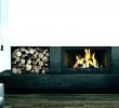 Napoleon Wood Burning Fireplace Lovely Wood Burning Fireplace Designs – Ms21consulting