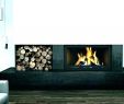 Napoleon Wood Burning Fireplace Lovely Wood Burning Fireplace Designs – Ms21consulting